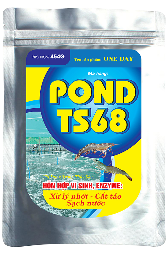 POND TS68